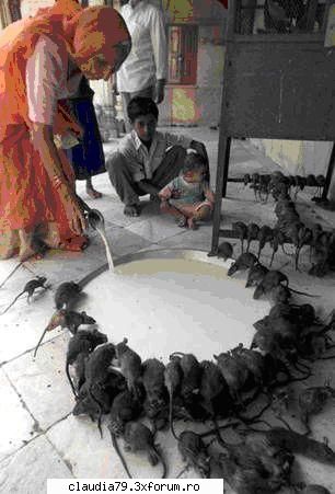 india only in...