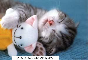 cats uite pisi dragutza