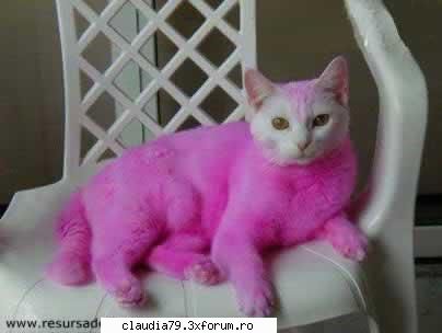 cats mai ziceti albul este nonculoare