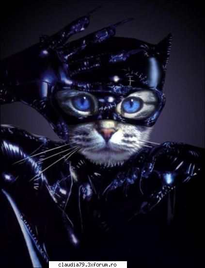 cum sa-ti faci pisica cool dar catwomen?