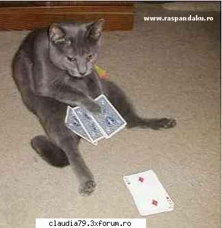 cats fac carte?