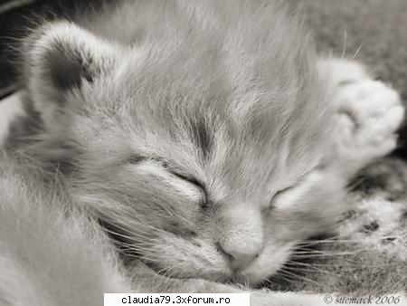 cele mai bune pozitii pat sigur doarme adanc