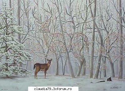 chestii faine natura