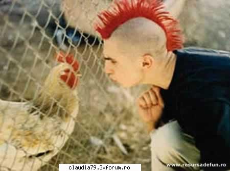 chestii faine animal urat!