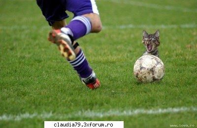 despre viziuni proverb japonez viziune, dar actionezi, inseamna visezi ochii deschisi dar daca