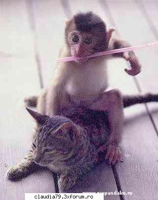 =d imagini faine