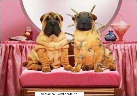 ooups nip here, tuck look marvelous dahling!