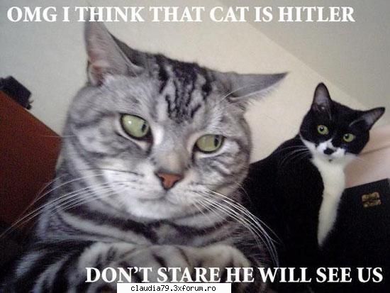 animale