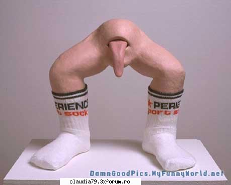 poze funny : 