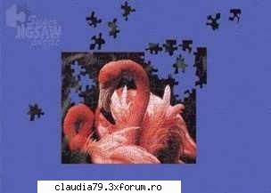 super jigsaw safari safari jigsaw fun with stunning images exotic animals and amazing scenery super
