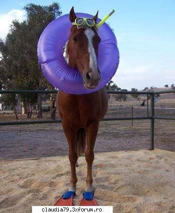 mare... pentru cei care ştiu deja cum arată mare anexez mai jos