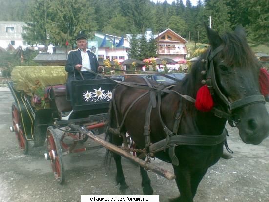 6.5.2006 mult mai multi barbati si-ar parasi nevestele, daca sti isi faca bagajele