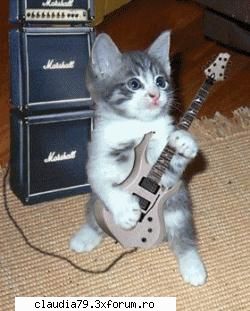 Cats - abysse_ - CHESTII SIMPATICE