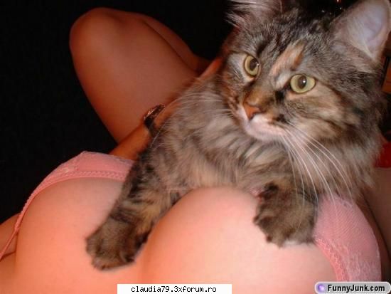 Cats - postasem ceva din greşeală la alt - CHESTII SIMPATICE