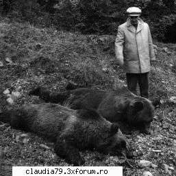 Ceausescu impusca ursi drogati iar Honecker iepuri congelati - Dictatorii comunisti aveau obiceiul sa - STIRI