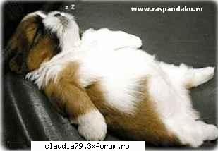 :dinti: cele mai bune pozitii in pat