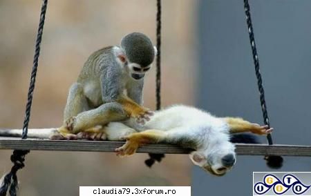 Cele mai bune pozitii in pat - "That's the spot ... Yeah! Right thereeee!!!!" - CHESTII SIMPATICE