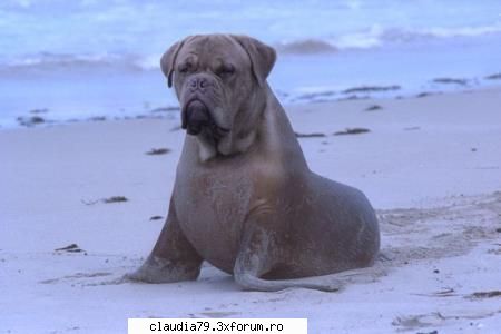 Erori ale naturii - LIZA - CHESTII SIMPATICE