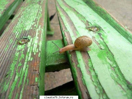 Imposibil??? - cinicul - CHESTII SIMPATICE