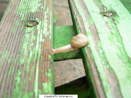 Imposibil??? - cinicul - CHESTII SIMPATICE