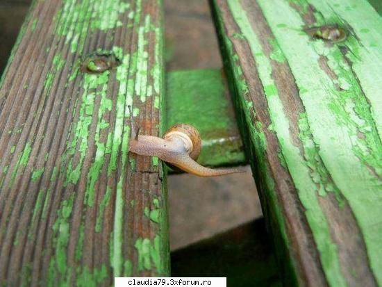 Imposibil??? - cinicul - CHESTII SIMPATICE