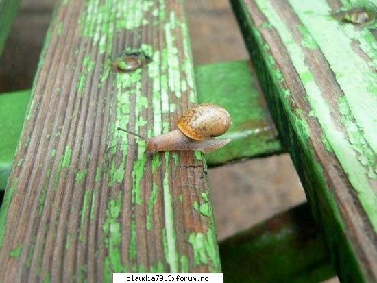 Imposibil??? - cinicul - CHESTII SIMPATICE