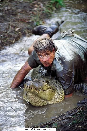 Steve Irwin - asta ca si amintire - STIRI