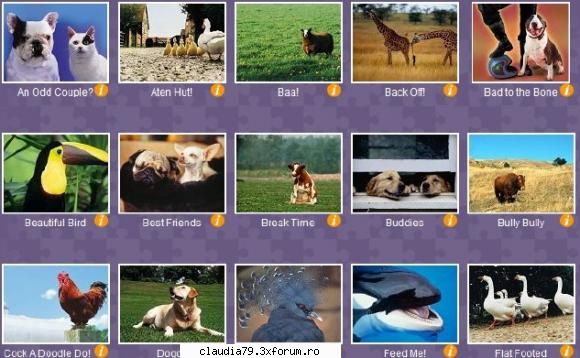 Super Jigsaw Adorable Animals - Assemble delightful pictures of adorable animals - Jocuri pt copii