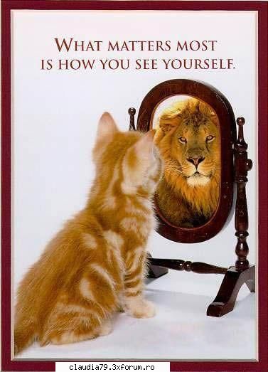 animale - LIZA - FUNNY