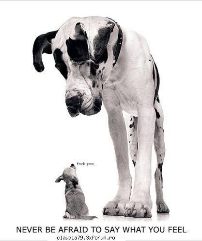 ceva - never be afraid - CHESTII SIMPATICE