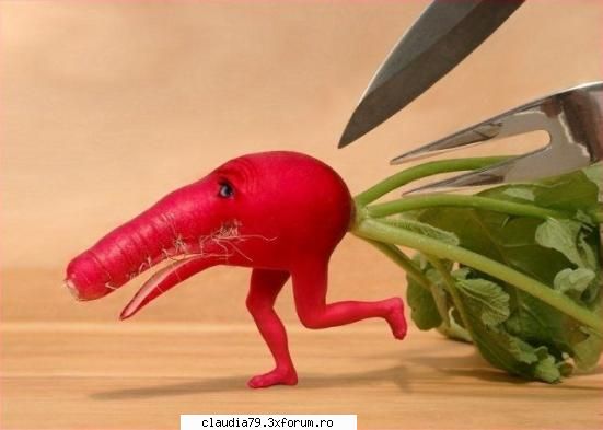 funny - bobesman - CHESTII SIMPATICE