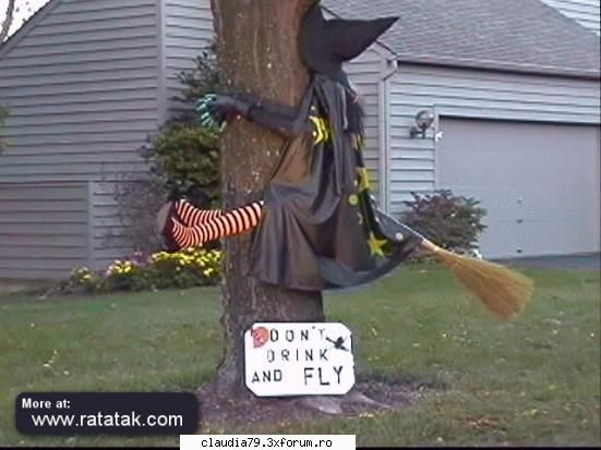 imagini faine - je_wizard - CHESTII SIMPATICE
