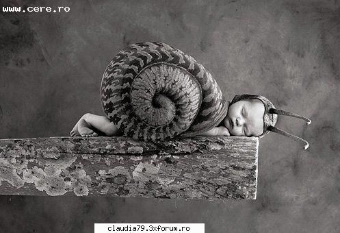 imagini faine - BUTTERFLY - CHESTII SIMPATICE
