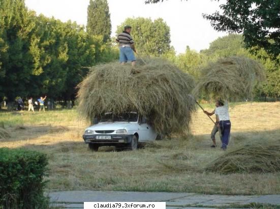 made in romania - bobesman - CHESTII SIMPATICE