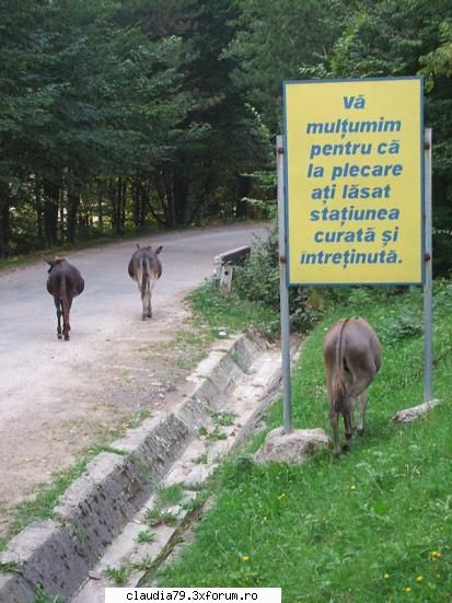 made in romania - bobesman - CHESTII SIMPATICE