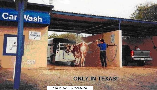 only in... - cinicul - CHESTII SIMPATICE