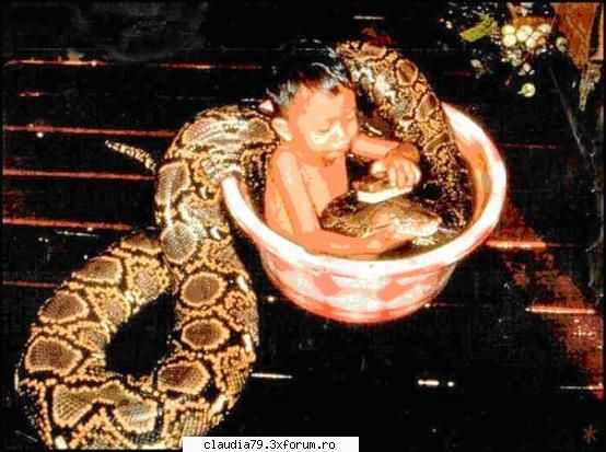 thailanda only in...