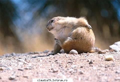 ooups - Oops! ... Man...I`m getting so fat I can hardly - CHESTII SIMPATICE