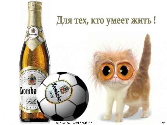ouch-m-a prins - LIZA - CHESTII SIMPATICE
